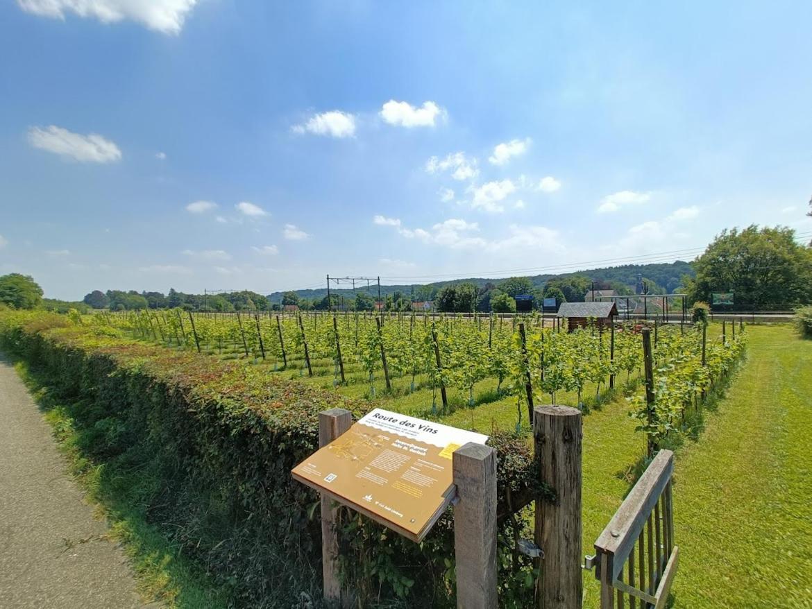 Halte Sint-Gerlach Holiday Home Valkenburg aan de Geul Εξωτερικό φωτογραφία